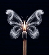 Guest_B822829
