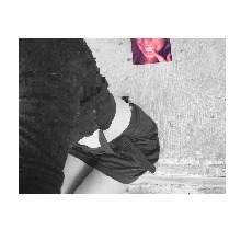 Guest_Ali866875