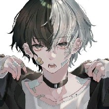 صورة الـavatar