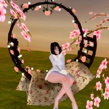 Guest_Dani799691