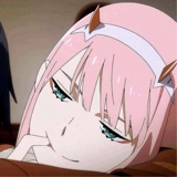 Guest_shibalehehehe