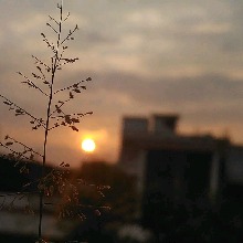 Guest_ANNHTW
