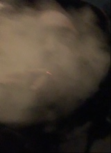 Guest_5b514