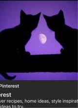 Guest_BriiGotsYouABoo