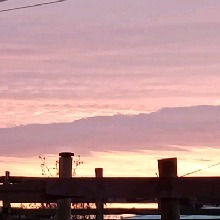 Guest_Lilit726016