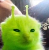 Guest_ratjpeg