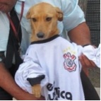 Guest_FelipeCosta011