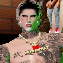 Guest_AraujoBJJ