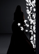 Guest_princesse995999