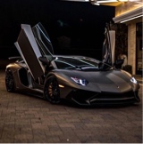 Guest_Francog11