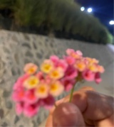 Guest_Neomi23