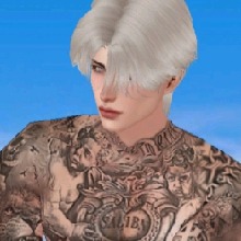 avpic