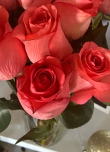 Guest_emerilynn26