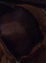 Guest_yabadabadoo123
