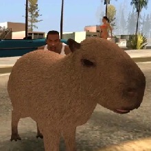 Guest_Brandon426243