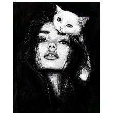 Guest_Yich2