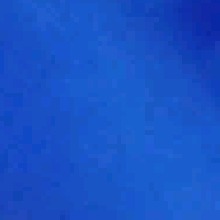 Guest_Gaby675805