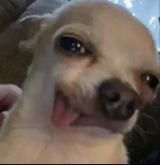 Guest_liligarciaaa