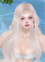 Guest_serena703855