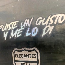 Guest_Alejandro797088