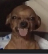JayBeeLyfe