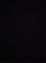 Guest_Brianna787120