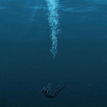 Guest_alicebluehydrarg9764