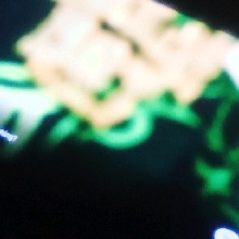 Guest_NaomiZ