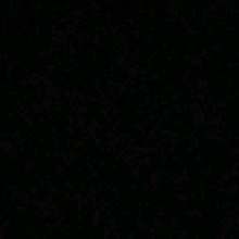 Guest_Monica506756