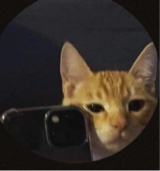 avatar resmi