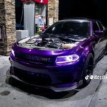 Guest_Stunna657726