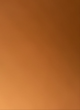 Guest_vanessa310