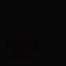Guest_Nicol622404