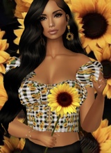 Simi1433