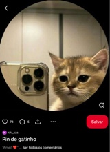Guest_silvaaaz1805