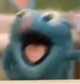 Guest_Ky198398