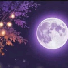 Guest_PrincessNadia4