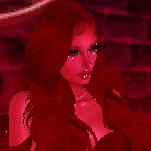 Guest_Niki575152