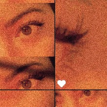 Guest_BVSH1