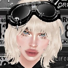 Guest_Senpai3