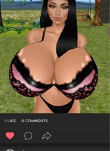 Guest_ayla543380