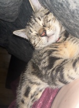 spilledmillk