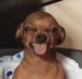 Guest_urfvbrunette