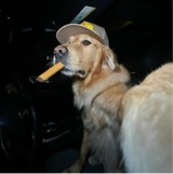 Drakeeeeee