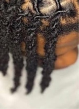 Guest_LudFoe4