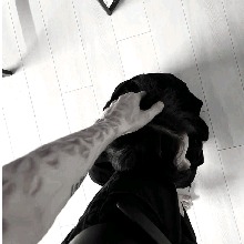 Avatar Bild