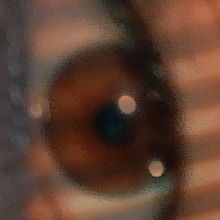 Guest_Nixxcolz