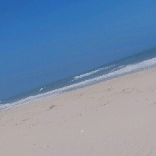 avpic