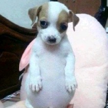 Guest_Milo167797
