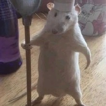 Guest_Gachiakuta